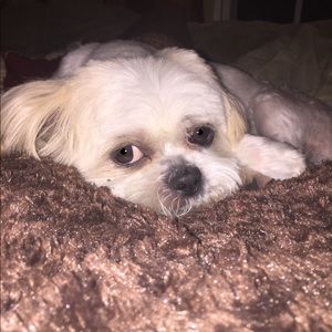 Meet your Posher, Aubrey